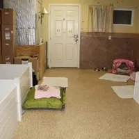 processed/af504da7-68c2-4621-a89d-4b61df30b014/facility/e262cba2-a4e6-47d1-81cc-421667921bc4