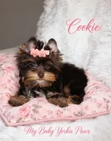 T-cup Cookie, a female Yorkshire Terrier for sale in Perris, CA – 9 of 9
