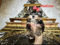 processed/af504da7-68c2-4621-a89d-4b61df30b014/listing/7da47ad6-6823-4408-871c-386ba28bbaef/3fea4bd1-5a1f-49c1-bc3b-1b6a38acbe2c