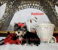 processed/af504da7-68c2-4621-a89d-4b61df30b014/listing/7da47ad6-6823-4408-871c-386ba28bbaef/51e38fad-7a0d-4c89-9e65-3b33acb9f5b9