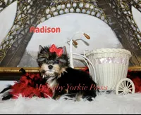 processed/af504da7-68c2-4621-a89d-4b61df30b014/listing/7da47ad6-6823-4408-871c-386ba28bbaef/618540c5-381c-4e08-b044-b55651e8fda5