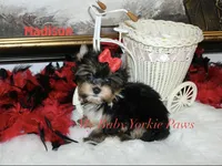 processed/af504da7-68c2-4621-a89d-4b61df30b014/listing/7da47ad6-6823-4408-871c-386ba28bbaef/628165a2-dc85-445e-a18d-b2c6d4280379