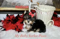 processed/af504da7-68c2-4621-a89d-4b61df30b014/listing/7da47ad6-6823-4408-871c-386ba28bbaef/bc267388-2d94-452d-bb88-ab0b62d65df7