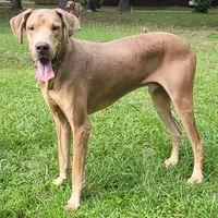 Facility photo