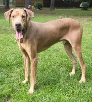 processed/af5a46d1-da26-4c1f-a1be-3ea140e3747f/facility/7e3e18a4-a26a-4271-801e-9870390ffdfa