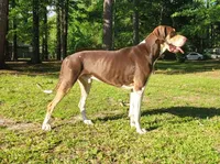 processed/af5a46d1-da26-4c1f-a1be-3ea140e3747f/facility/91beae0b-a872-4334-8559-60b429a2d330