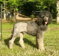 processed/af5a46d1-da26-4c1f-a1be-3ea140e3747f/facility/e5780535-89b4-4e15-82bb-3d88ed6b90f2