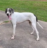 processed/af5a46d1-da26-4c1f-a1be-3ea140e3747f/facility/eed97538-0987-498b-82cd-e9ac5a462335