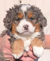 processed/af5c0556-19aa-4b63-98f1-e839df11e64c/listing/2a6d8c48-d805-4102-b908-780d4971bd02/910265e4-80ca-45d2-9ead-7ad7e4030663