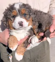 processed/af5c0556-19aa-4b63-98f1-e839df11e64c/listing/2a6d8c48-d805-4102-b908-780d4971bd02/c03e81b0-bfd3-430b-a46c-5f119bdd0be2