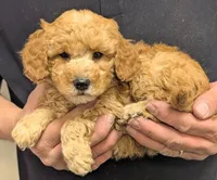 processed/af5c0556-19aa-4b63-98f1-e839df11e64c/listing/49ea3c02-da47-4a9e-9584-ac62be8ccd81/b9694641-ceb3-4ff1-be59-c9aad816f825