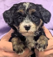 processed/af5c0556-19aa-4b63-98f1-e839df11e64c/listing/71890ecd-89d0-43be-b175-a3fd1a533789/df4f7743-5245-45f4-bacd-bbc0ef695f1d