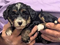 processed/af5c0556-19aa-4b63-98f1-e839df11e64c/listing/71890ecd-89d0-43be-b175-a3fd1a533789/fc11fc56-0a41-4cd7-b8cd-06744470a0da