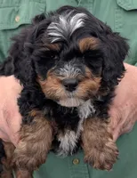 processed/af5c0556-19aa-4b63-98f1-e839df11e64c/listing/d282b4b5-7556-4f6c-be08-b737d3016d12/3e7f8c51-0603-4eda-84d1-e98719eea17f