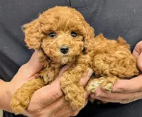 processed/af5c0556-19aa-4b63-98f1-e839df11e64c/listing/efdf9541-8770-4f05-b96c-b5d72618440a/e11a3065-82fa-4a55-b21a-347219979992