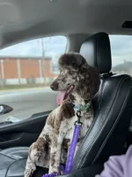 processed/af6c639e-4791-49fa-b1d8-492e62ae80bb/listing/d020b35c-5760-4e28-bffc-c596f9e4082e/1fff169e-c945-4fa9-9f9e-2e870fa00032