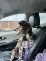 processed/af6c639e-4791-49fa-b1d8-492e62ae80bb/listing/d020b35c-5760-4e28-bffc-c596f9e4082e/4c70c754-5501-4334-9868-1c530ce5f19d