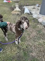 processed/af6c639e-4791-49fa-b1d8-492e62ae80bb/listing/d020b35c-5760-4e28-bffc-c596f9e4082e/89362bcf-46c8-460f-9788-ba4371dcb077