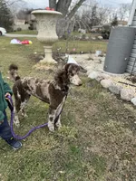 processed/af6c639e-4791-49fa-b1d8-492e62ae80bb/listing/d020b35c-5760-4e28-bffc-c596f9e4082e/91c25380-f1c2-4938-8ab9-301375cb126d