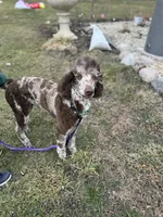 processed/af6c639e-4791-49fa-b1d8-492e62ae80bb/listing/d020b35c-5760-4e28-bffc-c596f9e4082e/bab0da29-edb2-451d-a2db-be250a57f086