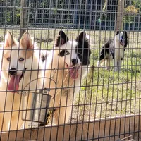 processed/af6dc9b3-1649-464c-8b76-f127bcb36b16/facility/579c1a0c-2b78-4e09-af5e-e423b3903ee5