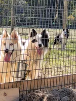 processed/af6dc9b3-1649-464c-8b76-f127bcb36b16/facility/579c1a0c-2b78-4e09-af5e-e423b3903ee5