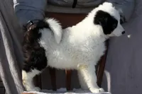 processed/af6dc9b3-1649-464c-8b76-f127bcb36b16/listing/0a43ede2-e728-429a-9dac-efe3c6e965ad/2671e0e5-d50a-4b63-9d35-96d246342e61