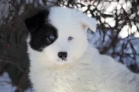 processed/af6dc9b3-1649-464c-8b76-f127bcb36b16/listing/0a43ede2-e728-429a-9dac-efe3c6e965ad/6d356899-3824-4159-a29f-e20b0da80691