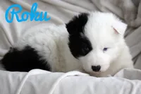 processed/af6dc9b3-1649-464c-8b76-f127bcb36b16/listing/0a43ede2-e728-429a-9dac-efe3c6e965ad/75c6d804-1822-4513-83fe-b0240103f686