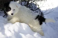 processed/af6dc9b3-1649-464c-8b76-f127bcb36b16/listing/0a43ede2-e728-429a-9dac-efe3c6e965ad/9497fd9a-4689-4105-8e76-965fe8f4ef14