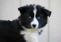 processed/af6dc9b3-1649-464c-8b76-f127bcb36b16/listing/48d9e1c3-622d-47c5-9415-bb127131499a/09d2a1e6-28ce-4d28-9f51-038e351788e8