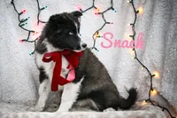 processed/af6dc9b3-1649-464c-8b76-f127bcb36b16/listing/48d9e1c3-622d-47c5-9415-bb127131499a/2753da27-69a4-4832-ab3e-5cd0a7b2367c