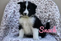 processed/af6dc9b3-1649-464c-8b76-f127bcb36b16/listing/48d9e1c3-622d-47c5-9415-bb127131499a/624e26e3-addb-40db-a060-fe2ac0f8d5f6