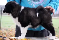 processed/af6dc9b3-1649-464c-8b76-f127bcb36b16/listing/48d9e1c3-622d-47c5-9415-bb127131499a/660895bf-4b4c-4ce0-9049-38c9f0aff8ce