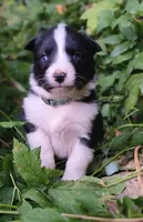 processed/af6dc9b3-1649-464c-8b76-f127bcb36b16/listing/48d9e1c3-622d-47c5-9415-bb127131499a/8ccb232e-5888-4482-8d97-92ade3a57696