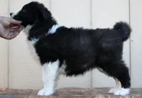 processed/af6dc9b3-1649-464c-8b76-f127bcb36b16/listing/48d9e1c3-622d-47c5-9415-bb127131499a/9193305c-9469-4b47-82bd-4ec52a81e006