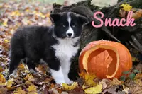 processed/af6dc9b3-1649-464c-8b76-f127bcb36b16/listing/48d9e1c3-622d-47c5-9415-bb127131499a/ab8ac706-bc22-4bc2-a202-2d15c00b2f3d