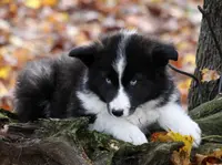 processed/af6dc9b3-1649-464c-8b76-f127bcb36b16/listing/48d9e1c3-622d-47c5-9415-bb127131499a/acdfaf6c-bb71-4a80-a7c1-ac08ac7a9c77