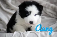 processed/af6dc9b3-1649-464c-8b76-f127bcb36b16/listing/91552d9f-0564-4cfd-b703-6c0e771593f7/fb39ae91-4361-4e48-9a1d-577796f05c71