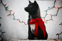 processed/af6dc9b3-1649-464c-8b76-f127bcb36b16/listing/b2f72a11-5a0b-4b79-8ae5-6aac455853bb/b00aa50d-ffdc-469e-a2e4-ec01fdc32a05