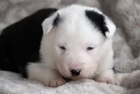 processed/af6dc9b3-1649-464c-8b76-f127bcb36b16/listing/becb7e0a-b91e-45a3-a219-5d0daab5b735/cb949794-a09d-4d15-8f8c-c12ba0e9e038