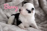 processed/af6dc9b3-1649-464c-8b76-f127bcb36b16/listing/de46d2e0-5b4a-48f7-8d77-be9501483027/46dd37d4-34ee-4666-85e9-55dd26a146b8