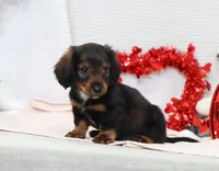 processed/af7e8eec-abfd-44cd-973d-76fe0b80efe9/listing/03b6149a-8734-4eda-88f6-9598abba9a3f/47d49f28-77b6-4aac-afa7-725c2a939526