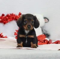 processed/af7e8eec-abfd-44cd-973d-76fe0b80efe9/listing/03b6149a-8734-4eda-88f6-9598abba9a3f/c3ded5d9-5378-4a0a-aee8-1009ed3ed5ec