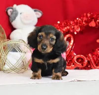 processed/af7e8eec-abfd-44cd-973d-76fe0b80efe9/listing/523e2d5e-632a-49a2-ad14-f1a029bdd536/33c9dfd9-94a4-4c84-946e-32c0fd563148