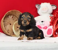 processed/af7e8eec-abfd-44cd-973d-76fe0b80efe9/listing/523e2d5e-632a-49a2-ad14-f1a029bdd536/b150930f-1bcd-4834-ba55-51b1a3d5ea4c