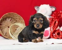 processed/af7e8eec-abfd-44cd-973d-76fe0b80efe9/listing/523e2d5e-632a-49a2-ad14-f1a029bdd536/f2227e71-83c2-4a2f-bc2a-78427ec8a1d7