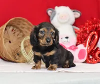 processed/af7e8eec-abfd-44cd-973d-76fe0b80efe9/listing/523e2d5e-632a-49a2-ad14-f1a029bdd536/f95d8e6a-f06d-4b2a-822e-28ed71d2c933