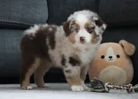 processed/af7e8eec-abfd-44cd-973d-76fe0b80efe9/listing/5a1c4696-31fd-4302-b0f3-7e50e401b7e3/9cc7755f-4443-4d22-ac4e-90151a2fd5c3