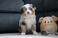 processed/af7e8eec-abfd-44cd-973d-76fe0b80efe9/listing/5a1c4696-31fd-4302-b0f3-7e50e401b7e3/ca7e7945-43f0-4d91-8a1f-715f477f53db